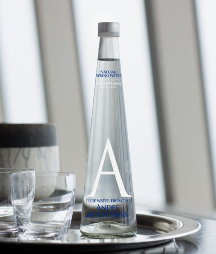 Andes Mountains Water 500 ml Bot. Vidrio Sin Gas<br/><small>Precio por Botella: $2.500 CLP.</small> - Imagen 2