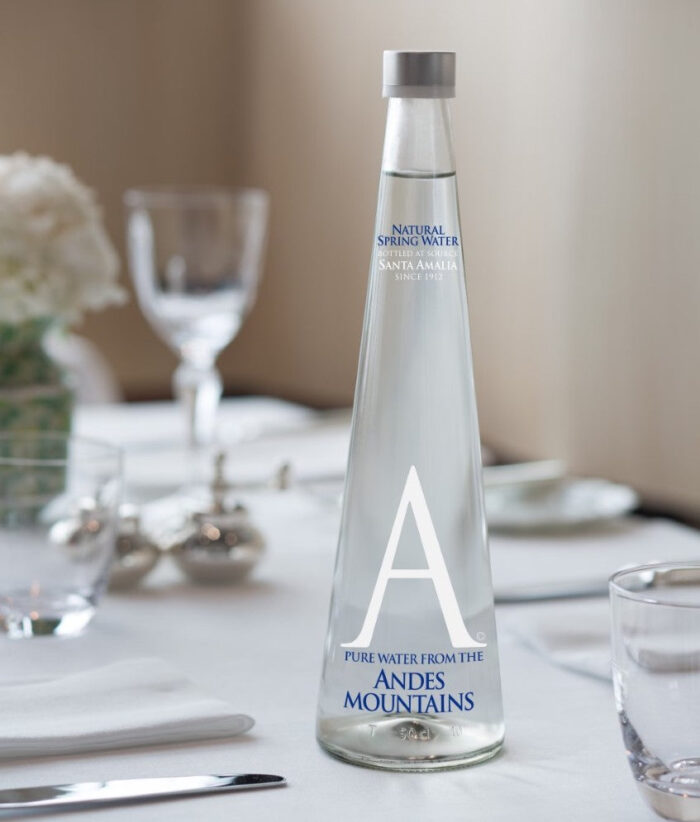 Andes Mountains Water 500 ml Bot. Vidrio Sin Gas<br/><small>Precio por Botella: $2.500 CLP.</small> - Imagen 3