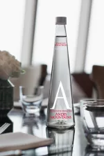 Andes Mountains Water 750 ml Bot. Vidrio Con Gas<br/><small>Precio por Botella: $3.100 CLP.</small> - Imagen 3