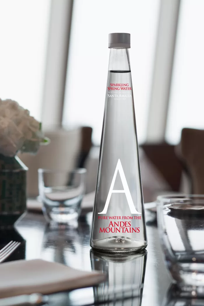 Andes Mountains Water 750 ml Bot. Vidrio Con Gas<br/><small>Precio por Botella: $3.100 CLP.</small> - Imagen 3